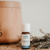 ylang ylang etherische olie
