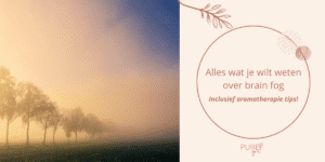 De beste etherische oliën voor brain fog - PURE by Me - aromatherapie